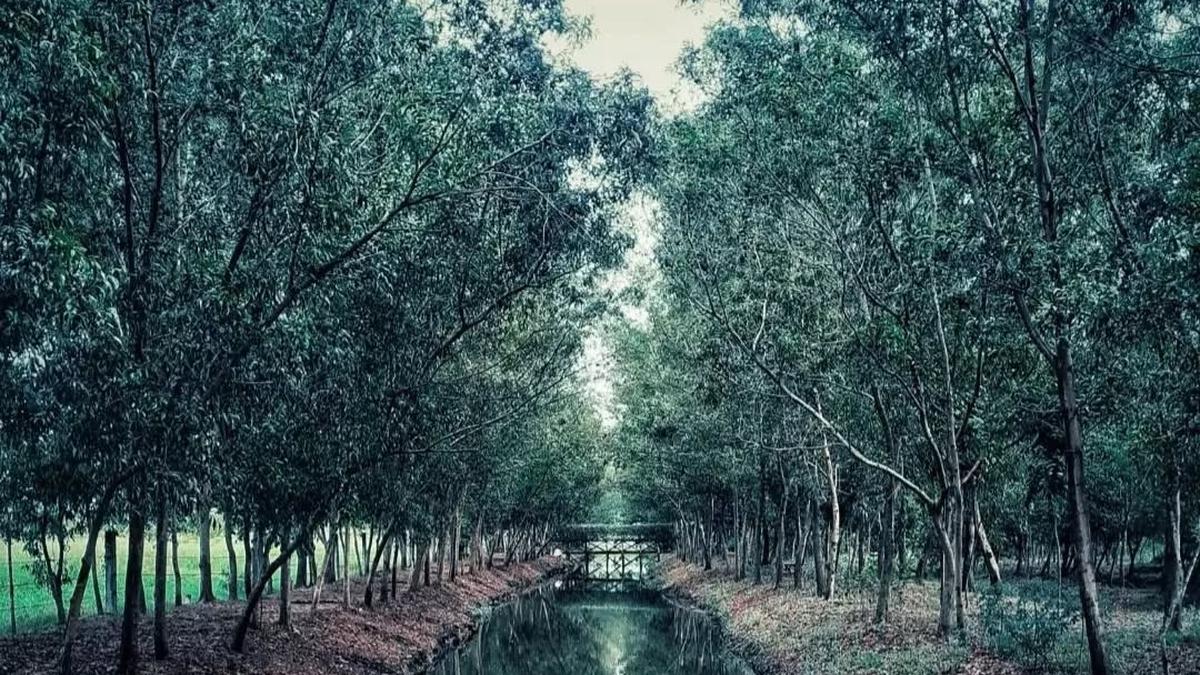 14 Tempat Wisata di Surabaya yang Murah dan Bagus, Rekomendasi Liburan Hemat untuk Seluruh Keluarga