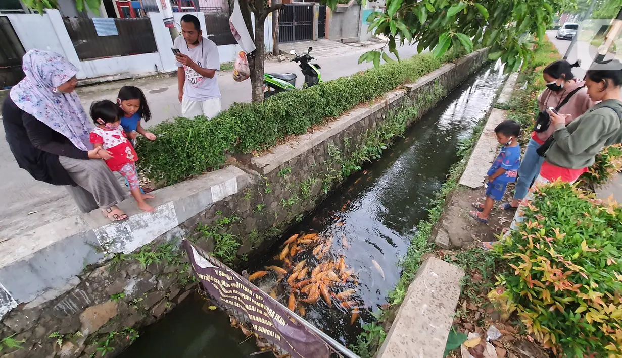 Warga bersama anak-anak melihat ikan yang dibudidaya di sepanjang saluran air di Puri Pamulang, Tangerang Selatan, Minggu (13/8/2020). Saluran air atau selokan sepanjang 400 meter dimanfaatkan warga untuk budidaya ikan dan hiburan gratis bagi warga sekitar. (Liputan6.com/Fery Pradolo)