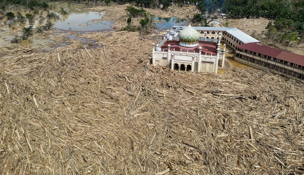 Di Kabupaten Aceh Tamiang, Provinsi Aceh, proses pemulihan berjalan lambat lantaran infrastruktur yang terputus, lumpur yang tak kunjung surut, dan tumpukan kayu sisa material banjir yang menutupi sebagian wilayah tersebut. Tampak dalam foto pemandangan udara menunjukkan sisa-sisa pepohonan yang tumbang di pesantren dan masjid Darul Mukhlisin setelah banjir bandang di Aceh Tamiang, pada Rabu 10 Desember 2025. (Aditya Aji/AFP)