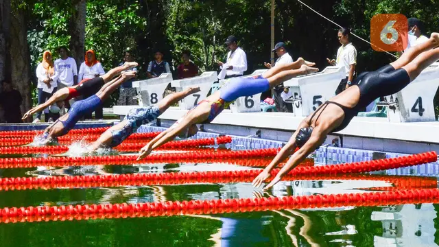 Kolam Renang Standar Olimpiade