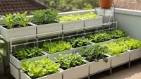 8 Ide Kebun Sayur Mini Low Budget untuk Pemula, Praktis dan Modal Terjangkau