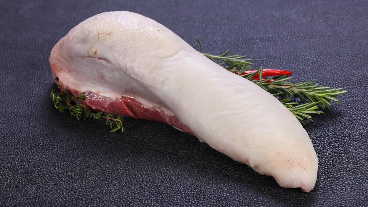 lidah sapi