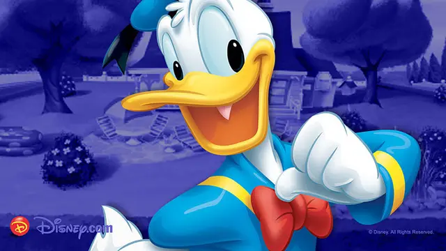Donald The Duck