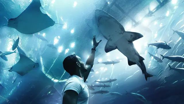 Dubai Aquarium