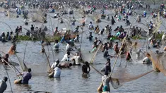 Penduduk desa mengikuti acara memancing bersama dalam perayaan panen Bhogali Bihu di Danau Goroimari di Panbari, Assam, India, pada 14 Januari 2020. “Bhogali Bihu” menandai berakhirnya musim panen di bagian timur laut negara bagian Assam. (Xinhua/Str)
