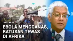 Wabah Ebola kembali mematikan. Sedikitnya 220 orang dilaporkan meninggal dunia, sementara penanganan dinilai terlambat dan kini tenaga kesehatan harus mengantisipasi penyebaran yang kian meluas.