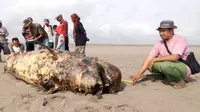 Paus Sperma ditemukan terdampar di Pantai Jogosimo, Kebumen, Minggu, 4 November 2018. (Foto: Liputan6.com/BKSDA Jateng/Muhamad Ridlo)