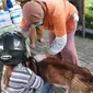 Sumatera Utara (Sumut) masuk 5 besar daerah di Indonesia dengan kasus positif rabies tertinggi