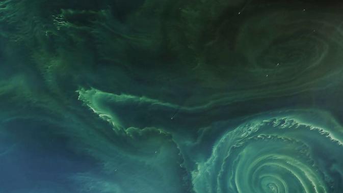 Foto Bumi dari Landsat-8. (NASA)
