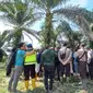 Kedua belah pihak saat melaksanakan pertemuan di atas kebun milik Haris Pardede yang disengketakan perusahaan di Desa Bukit Tempurung, Tanjung Jabung Timur, Jambi, Minggu (16/10/2022). Haris memiliki bukti surat kepemilikan SHM. (Liputan6.com/gresi plasmanto)