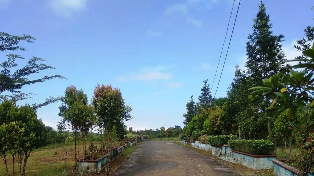 Rindangnya Taman Pemakaman Pasien Corona Covid-19 di Palembang