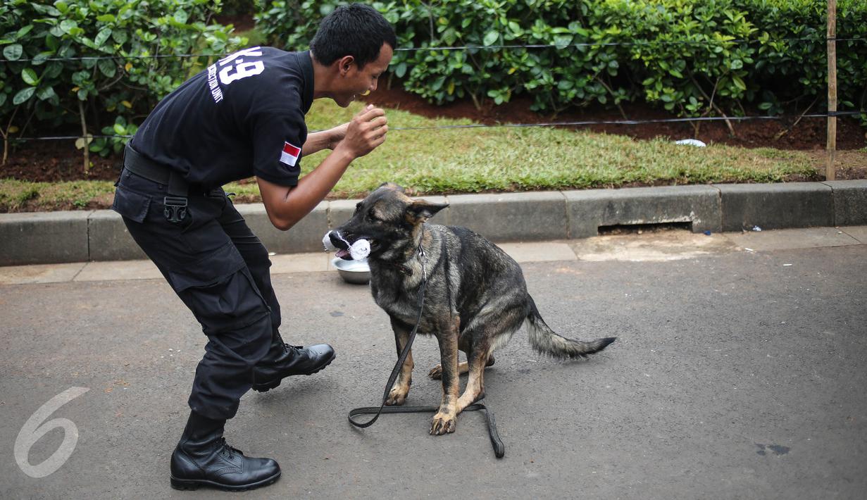 Pelatih mengintruksikan seekor anjing unit k-9 saat melakukan simulasi mencari barang bukti narkoba di Monumen Nasional, Jakarta, Selasa (6/12). Pasukan K9 yang dibentuk BNN terdiri dari berbagai jenis anjing. (Liputan6.com/Faizal Fanani)