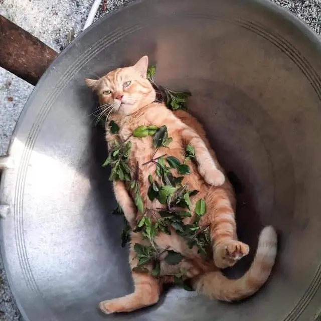 6 Menu Sahur ala Netizen Pakai Mainan Ini Nyeleneh Banget