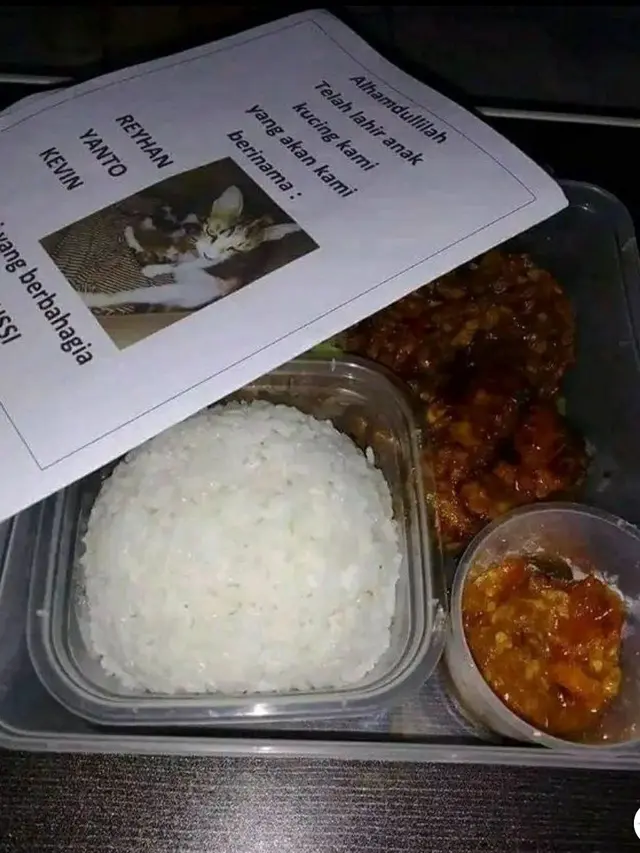 7 Momen Orang Bikin Acara Syukuran Untuk Kucing, Ada yang Diketawain
