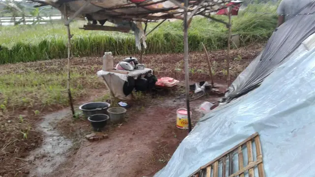 Gubuk tempat Babeh cabuli 25 anak di Tangerang. (Liputan6.com/Pramita Tristiawati)
