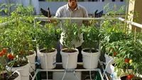 7 Konsep Edible Garden Self Watering untuk yang Sibuk dan Anti Lupa Siram, Praktis