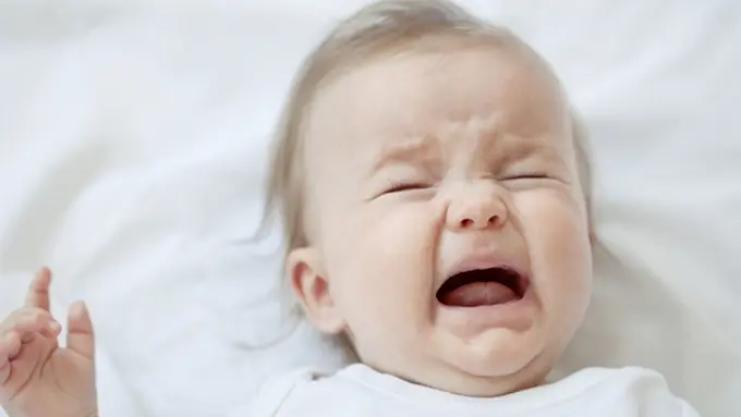 foto: copyright thinkstockphotos.com