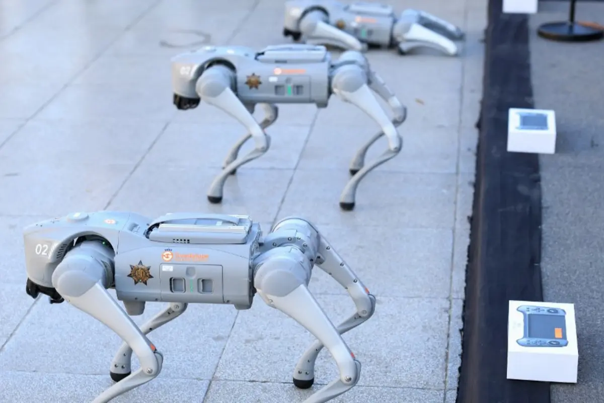 Robot anjing, Piala Dunia 2026