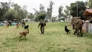 Para petugas melatih anjing polisi pada sesi latihan di sekolah pelatihan anjing polisi Chile di Santiago, 9 Oktober 2018. Dua ratus anjing dari ras yang berbeda mengikuti pelatihan di paru-paru kota Santiago. (Martin BERNETTI/AFP)
