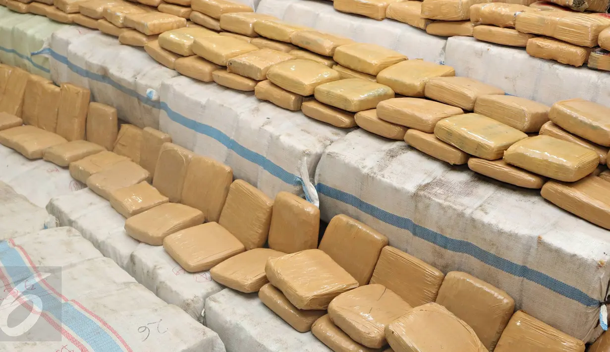 Barang bukti berupa 1,5 ton ganja dengan nilai total Rp.17 M diperlihatkan Bareskrim saat rilis pengungkapan jaringan Narkotika sindikat Aceh-Jakarta-Bali di Jakarta, Senin (28/12/2015). (Liputan6.com/Immanuel Antonius) 