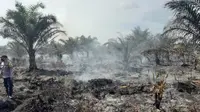 Kebakaran lahan di Kabupaten Agam, Sabtu (13/2/2021). (Dok BPBD Agam)