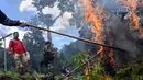 Anggota Badan Narkotika Nasional (BNN) bersama polisi dan tentara membakar tanaman ganja saat penggerebekan pada jalur hutan di Lamteuba, Provinsi Aceh, 18 Mei 2022. (CHAIDEER MAHYUDDIN/AFP)