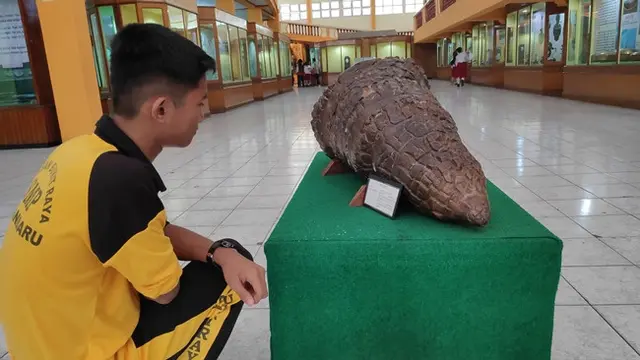 Batu keong di Museum Sang Nila Utama berusia 5 juta tahun disebut-sebut sering ada kakek tua duduk di atasnya.