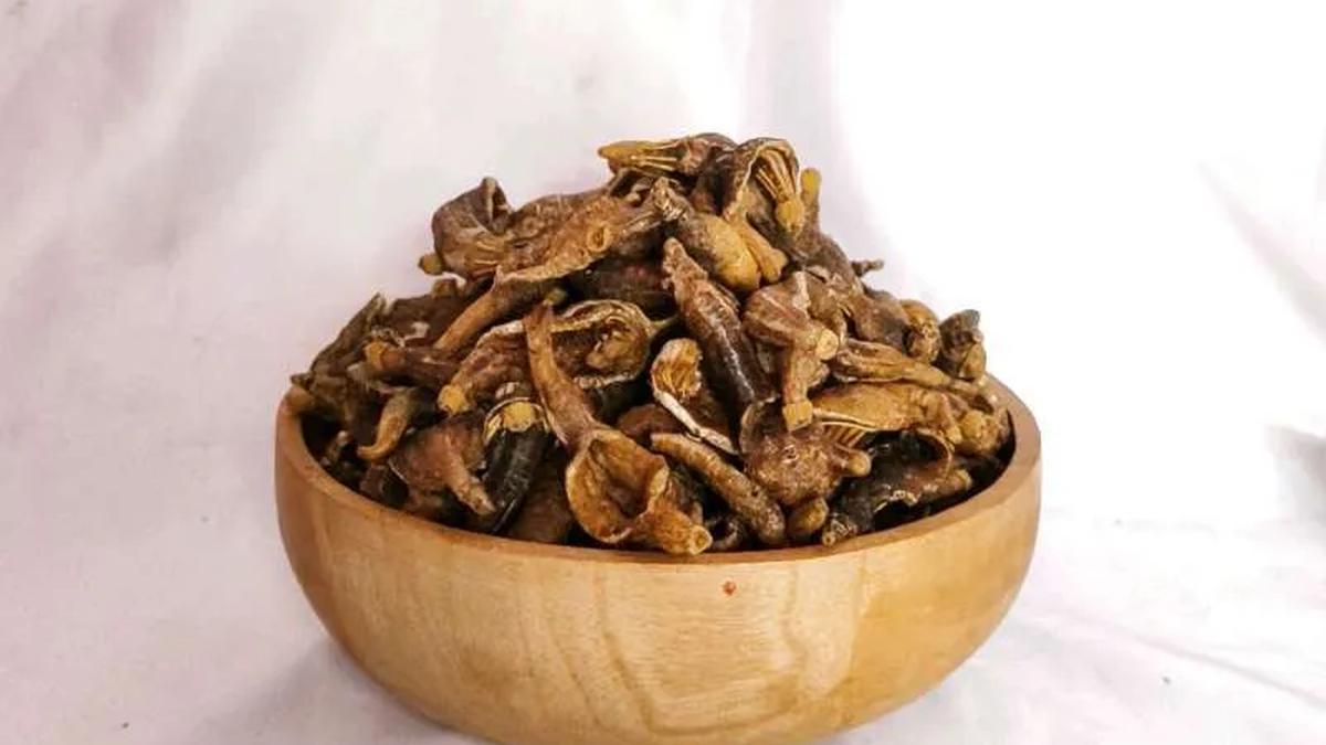 Cara Membuat Keripik Teripang Gurih Alami, Ternyata Harus Lewat Proses Panjang Ini