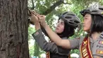 Di Solo, Jawa Tengah, sejumlah anggota polisi wanita (Polwan) dari Polresta Surakarta, melakukan aksi mencabut paku yang menancap di pohon