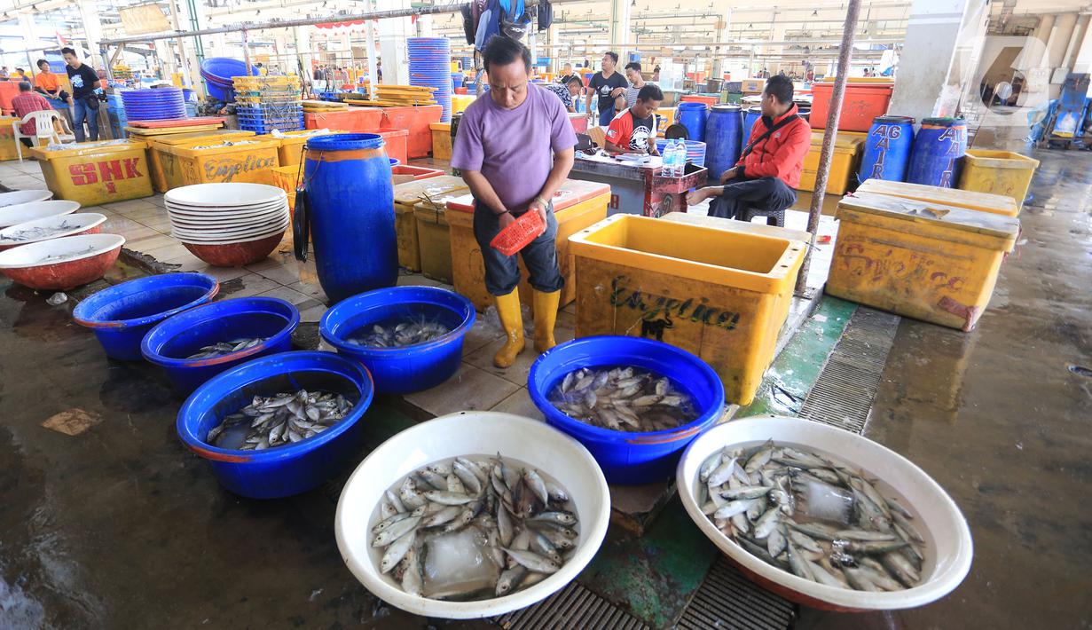 Foto Aktivitas Di Pasar Ikan Muara Baru Kembali Bergeliat Bisnis Liputan6 Com