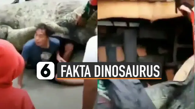 Ternyata ini dia fakta tentang dinosaurus di Magetan yang sempat viral di media sosial.