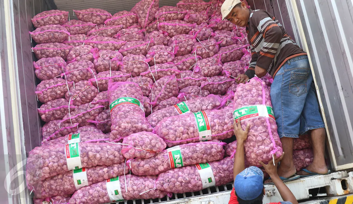 Pekerja menurunkan bawang putih dari kontainer setibanya di Pasar Induk Kramat Jati, Rabu (17/5). Sebanyak 9.000 ton bawang putih yang diimpor dari Tiongkok dijual ke pedagang seharga Rp 25.000 per kg dalam operasi pasar. (Liputan6.com/Immanuel Antonius)