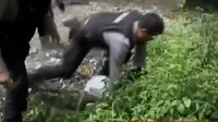 Segmen 1: Penangkapan Pengguna Narkoba hingga Kasus Zaskia Gotik