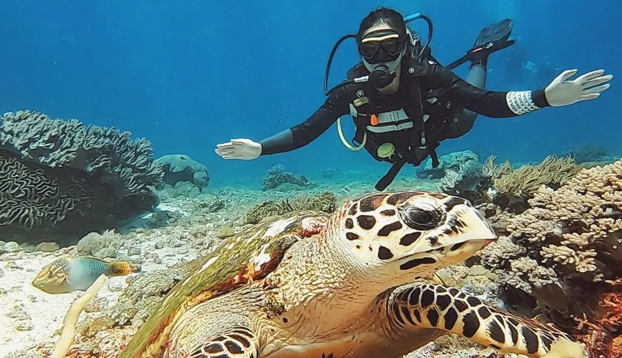 Tak lengkap rasanya jika datang ke Pulau Komodo tanpa melihat keelokan terumbu karang di pantai tersebut. Mantan kekasih Giorgino Abraham ini terlihat menikmati momen menyelamnya. (Liputan6.com/IG/@angelagilsha)