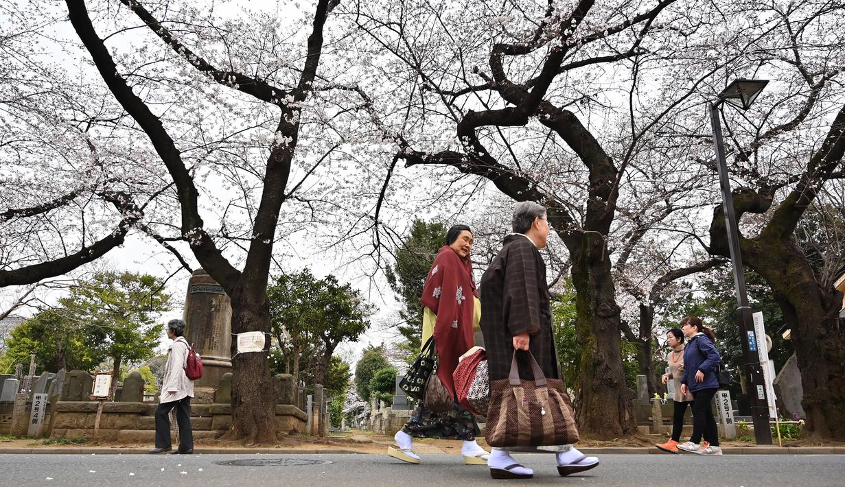 Foto Jalan Jalan Menikmati Pemandangan Bunga Sakura Di Tokyo