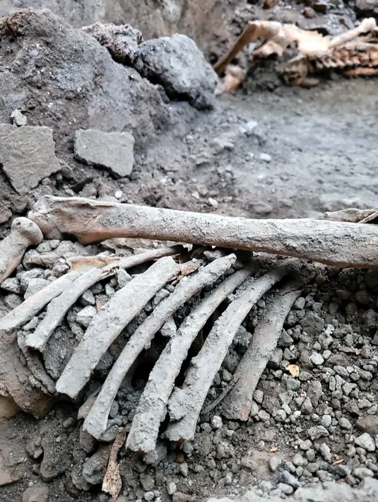 Sedikitnya hampir 4 juta wisatawan mengunjungi kota itu pada tahun lalu. (Handout/Parco Archeologico di Pompei press office/AFP)