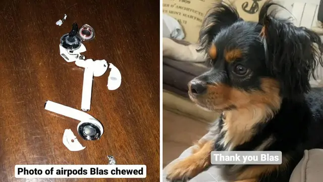 Pria Ini Ubah Airpods Jadi Airgolds, Airpods Berbahan Emas 18 Karat