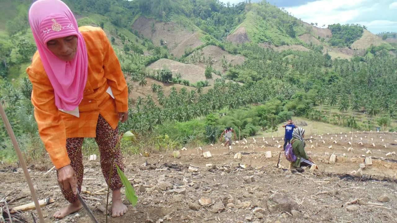 Danau Limboto Makin Terdesak Jagung dan Eceng Gondok 