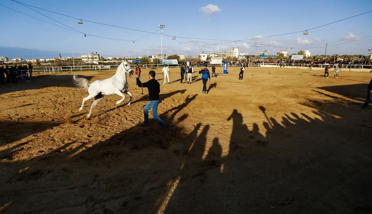 Sejumlah warga Palestina saat mengabadikan aksi koboi saat mengikuti ajang Arabian Horse Show di Kota Gaza, Palestina (3/3). (AFP Photo / Mohammed Abed)