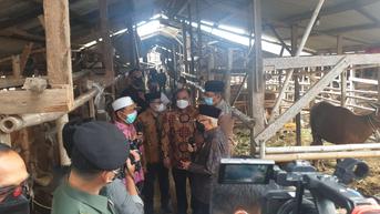 Temui Peternak, Ma'ruf Amin Pastikan Sapi Kelompok Tani Lombok Barat Bebas PMK
