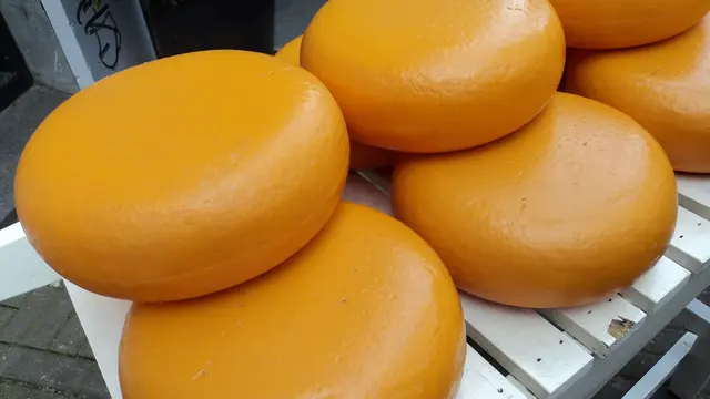 Roda Keju