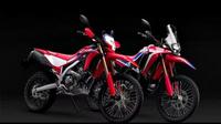 Honda CRF250L dan CRF250 Rally (Oto.com)