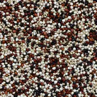 biji-bijian quinoa. (Foto: Unsplash/Pierre Bamin)