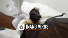 TV Virus