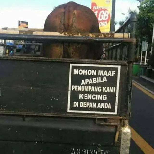 Foto Tulisan Lucu di Belakang Mobil Bikin Fokus Buyar Saat Berkendara