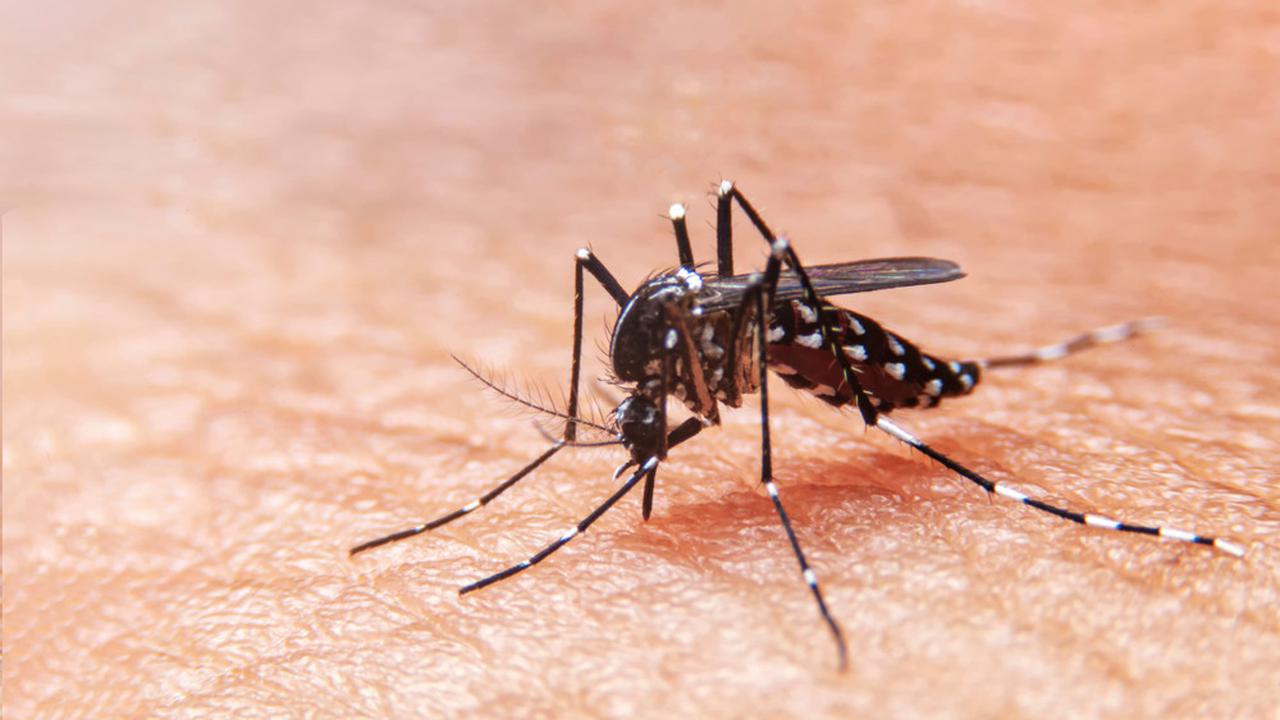 Jurus Pemkab Bojonegoro Atasi Wabah DBD