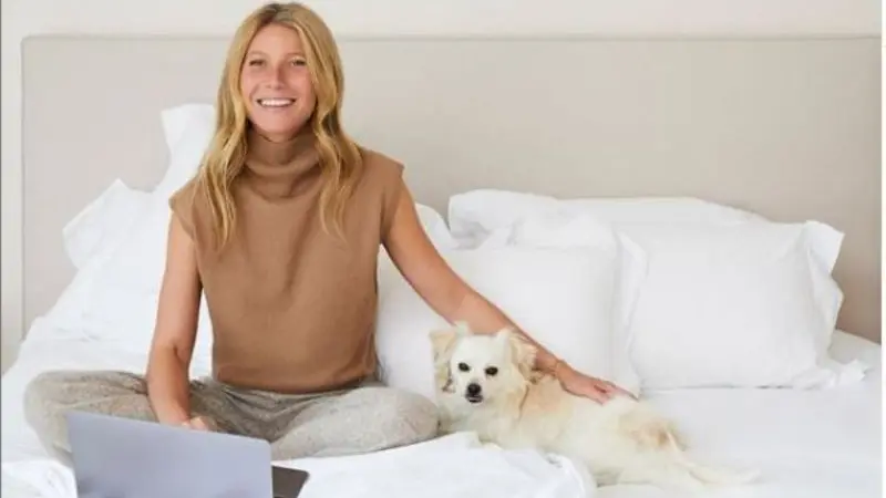 Gwyneh Paltrow Jualan Tempat Tidur Ramah Lingkungan, Harganya Tak Masuk Akal