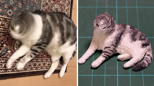kucing