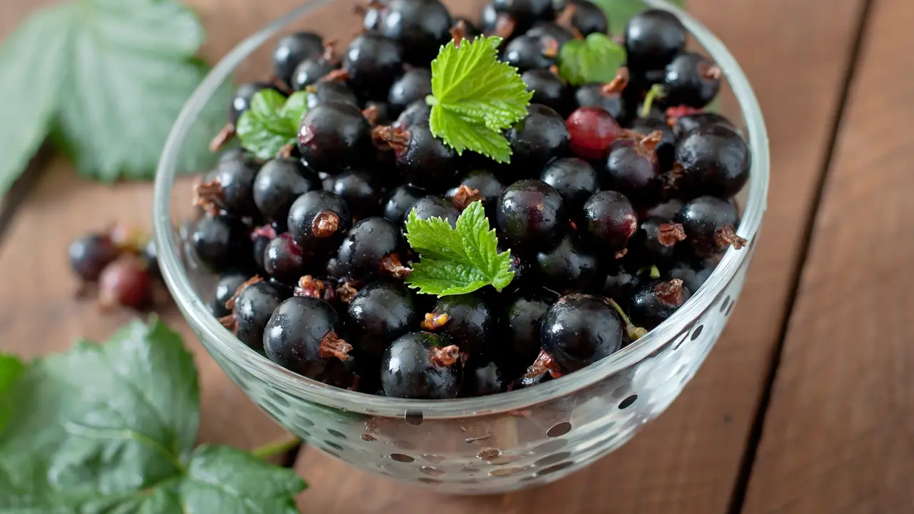 Blackcurrant