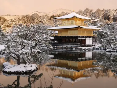Halaman kuil Kinkakuji - Paviliun Emas - tertutup salju setelah salju tebal dan angin kencang semalaman mempengaruhi wilayah luas negara itu di Kyoto, Jepang, Rabu (25/1/2023). Salju turun di utara Jepang saat massa udara dingin mengalir ke kepulauan itu. (Photo by JIJI Press / AFP)